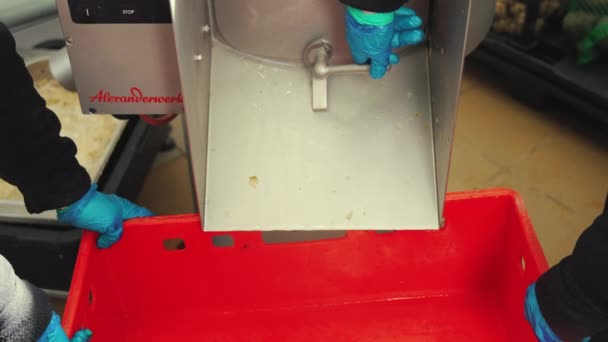 食品加工概念 卷心菜 芹菜根从工业洗涤释放到一个大的红色塑料容器 高质量的4K镜头 — 图库视频影像