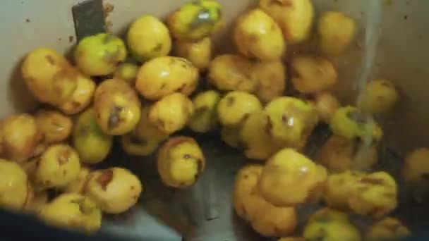 Landbouwindustrie Levensmiddelenindustrie Technologie Handel Concept Gele Aardappelen Tijdens Industriële Reiniging — Stockvideo