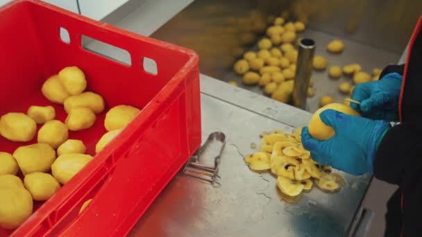 青いゴム製手袋の認識できない人は 工業用野菜洗濯機の背景に対してナイフでジャガイモを剥がします クッキング キッチン 高品質の4K映像 — ストック動画