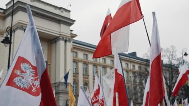 2024 Varsovia Polonia Multitud Personas Con Banderas Polacas Manifestación Imágenes — Vídeo de stock