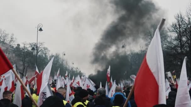 2024 波兰华沙 在寒冷多云的日子里 人们在抗议活动中挥动彩旗的倒影 高质量的4K镜头 — 图库视频影像