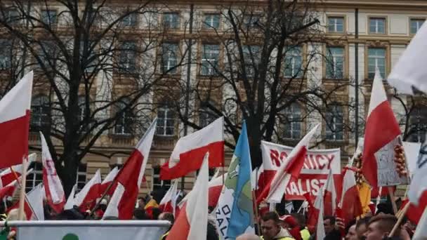 2024 波兰华沙 几十人抗议政府 挥动彩旗 举着海报 高质量的4K镜头 — 图库视频影像