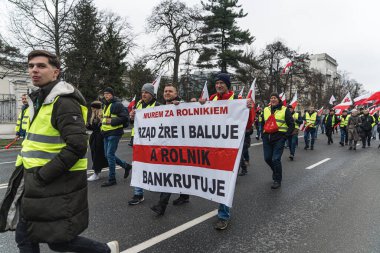 06.03.2024. Varşova, Polonya. Sokaklarda bayraklar ve posterlerle yürüyen Polonyalı çiftçiler. Yüksek kalite fotoğraf
