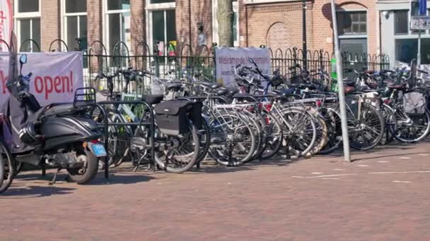 2024について アムステルダム オランダ アムステルダムの公共自転車ガレージ駅 自然の交通手段のための生態学的およびよい 人間はいない 晴れた天気 高品質の4K映像 — ストック動画