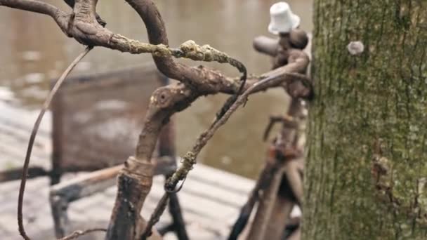 Közeli Kilátás Rozsdás Kerékpár Szélén Csatorna Amszterdamban Hollandiában Kiváló Minőségű — Stock videók