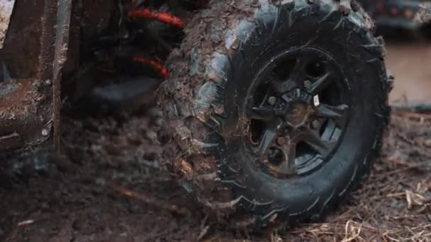 숲에서 Atv의 바퀴와 흔적의 클로즈업 고품질 — 비디오