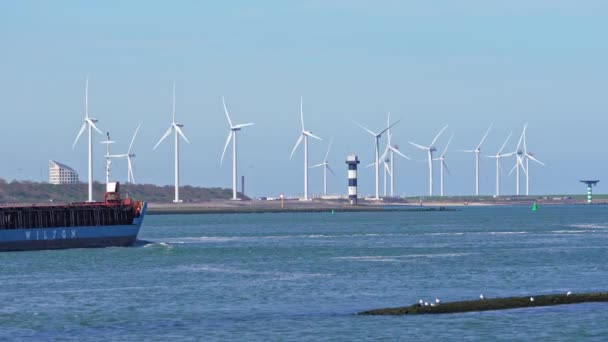 Maasvlakte Rotterdam Locatie Van Een Windmolenpark Vol Windmolens Ecologie Energieconcept — Stockvideo