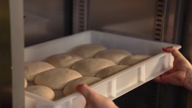 Pizzacıda pizza köftesi yapmak, şefin masaya hamur topları koyması. Yüksek kalite 4k görüntü