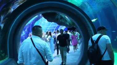 30.05.2024. Lodz, Polonya. Oceanarium 'da su tünelinde yürüyen turistler. Yüksek kalite 4k görüntü
