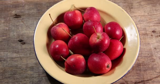 Mała Czerwona Jesień Truskawka Kształcie Jabłka Posiekany Plasterek Nasion Szkliwie — Wideo stockowe