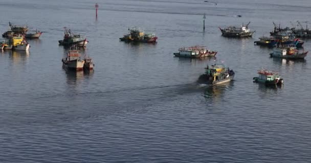 Ships Boats Fishing Trollers Ocean Sea Water South China Sea — Stockvideo