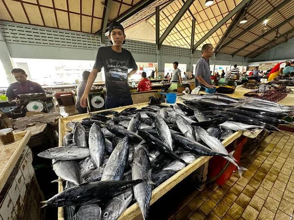 Tawau Sabah Malaysia Januar 2023 Verschiedene Meeresfische Werden Morgens Auf — Stockfoto