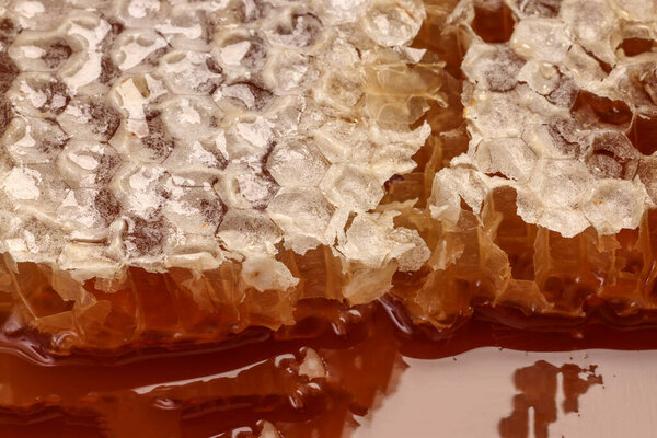 Sticky liquid honey natural geomatic hexagon honeycomb macro cluse up