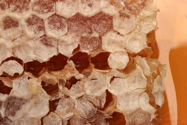 Klebriger Flüssiger Honig Natürliche Geomatische Sechseck Wabenmakro Verklumpen — Stockfoto