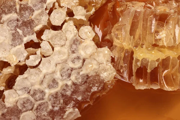 粘稠的液体蜂蜜自然土工六边形蜂窝宏观凝块向上 — 图库照片