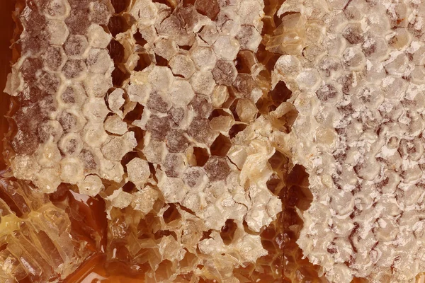 粘りのある液体蜂蜜天然ジオマティックヘキサゴンハニカムマクロ条項アップ — ストック写真