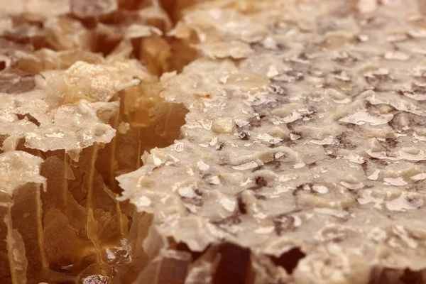 粘りのある液体蜂蜜天然ジオマティックヘキサゴンハニカムマクロ条項アップ — ストック写真