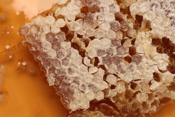 Klebriger Flüssiger Honig Natürliche Geomatische Sechseck Wabenmakro Verklumpen — Stockfoto