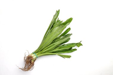 Ngo Gai yaprakları beyaz arka planda maydanoz kokulu bitki çeşnisi 