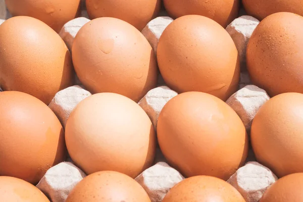 Cerrar Huevos Marrones Pollo Caja Cartón Fotos De Stock
