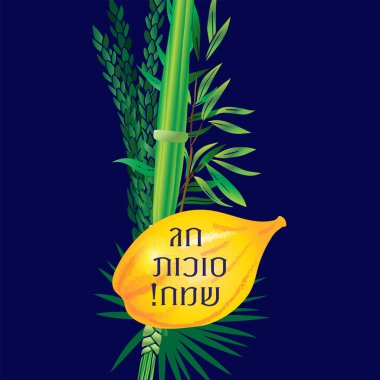 Mutlu Sukkot çevirisi İbranice Dört Tür arba minim bitkilerinden Yahudi bayramı Sukkot etrog citron, lulav palmiye yaprağı, hadas myrtle bough, aravah söğüt dalı onları bağlar, özel tören Tanrı huzurunda birlik sevincini sembolize eder.