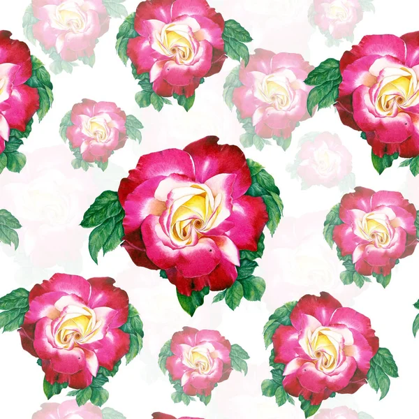 Розовый Реалистичный Рисунок Акварели Зелеными Листьями Ботаническое Искусство Розовый Цветок — стоковое фото