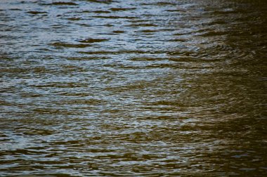 Water ripples on the river surface.