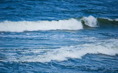 View of the waves on the seashore.
