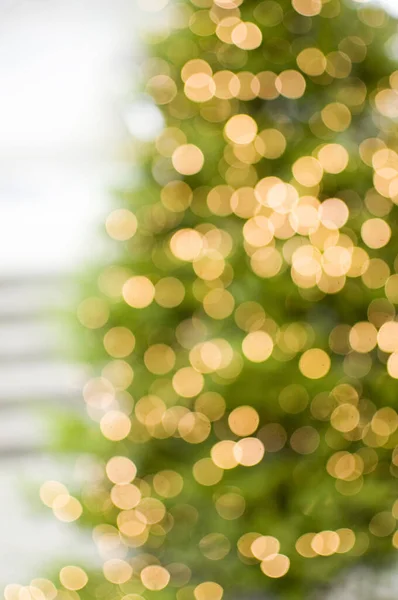 Vánoční Rozostřené Zdobené Věnce Stromů — Stock fotografie