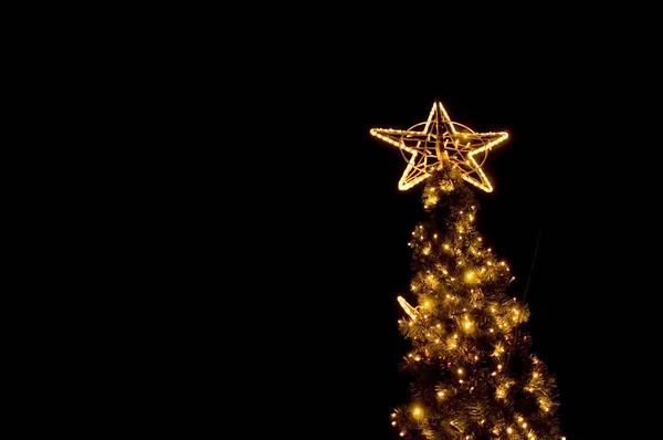 街路樹のライトアップされたクリスマスツリー — ストック写真
