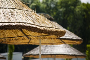 Sahilde saman şemsiyesi.