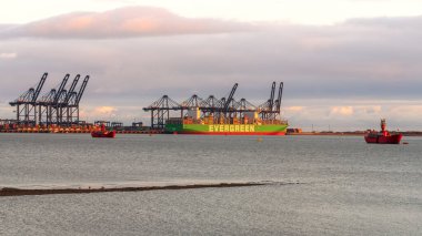 Shotley Kapısı, Suffolk, İngiltere - 22 Kasım 2022: Orwell Nehri üzerinden Felixstowe Limanı 'ndaki bir kargo gemisine bakın