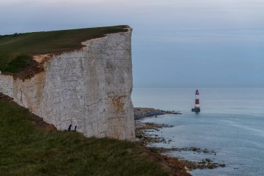 Eastbourne yakınlarındaki Beachy Head 'deki deniz feneri ve uçurumlar, Doğu Sussex, İngiltere, İngiltere