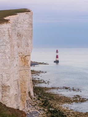 Eastbourne yakınlarındaki Beachy Head 'deki deniz feneri ve uçurumlar, Doğu Sussex, İngiltere, İngiltere