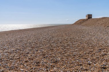 Çakıl taşı plajı ve kuş gizlenir Dungeness, Kent, İngiltere, İngiltere 'de