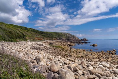 Kelt Deniz Kıyısı ve St Loy Koyu 'ndaki uçurumlar, Cornwall, İngiltere, İngiltere