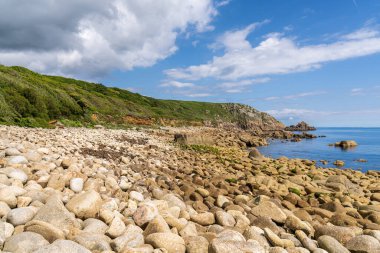 Kelt Deniz Kıyısı ve St Loy Koyu 'ndaki uçurumlar, Cornwall, İngiltere, İngiltere