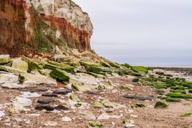 Hunstanton, Norfolk, İngiltere ve İngiltere 'deki kayalıklar ve plajlar.