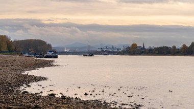 Niederkassel, Kuzey Ren-Vestfalya, Almanya - 31 Ekim 2021: Gemiler Mondorf 'ta Ren Nehri üzerinde, Bonn ve Siebengebirge arka planda