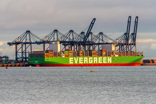Shotley Kapısı, Suffolk, İngiltere - 22 Kasım 2022: Orwell Nehri üzerinden Felixstowe Limanı 'ndaki bir kargo gemisine bakın