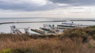 Dover, Kent, İngiltere, İngiltere - 19 Mart 2023: Bekleyen üç feribotla Dover Limanı manzarası