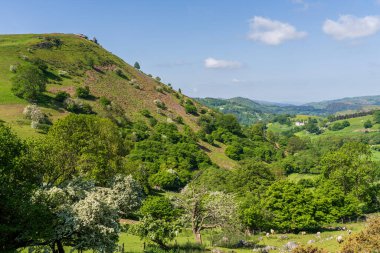 Castell Dinas Bran yakınlarındaki manzara, Llangollen yakınlarındaki Denbighshire, Clwyd, Wales, İngiltere