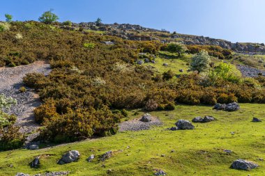 Castell Dinas Bran yakınlarındaki manzara, Llangollen yakınlarındaki Denbighshire, Clwyd, Wales, İngiltere