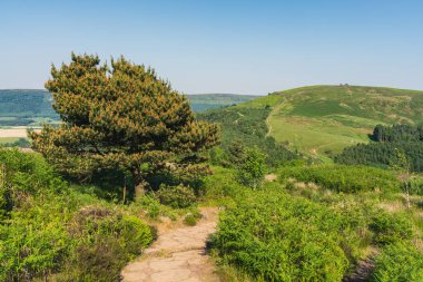 Great Broughton, North Yorkshire, İngiltere yakınlarındaki Wainstone 'a yürüyüş yolu.