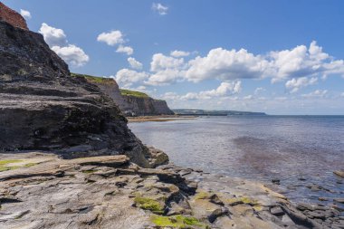Kuzey Denizi kıyısında, Whitby, North Yorkshire, İngiltere 'deki Doğu Kayalıkları' nda gelgit alçak.
