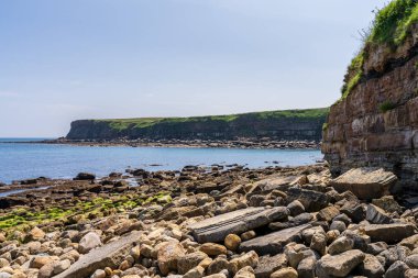 Kuzey Denizi kıyıları ve Cloughton yakınlarındaki uçurumlar, Kuzey Yorkshire, İngiltere, İngiltere
