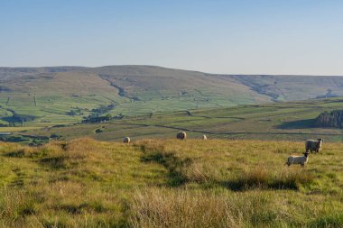 Rookhope ve Ireshopeburn arasındaki Peak District Manzarası, Durham İlçesi, İngiltere, İngiltere