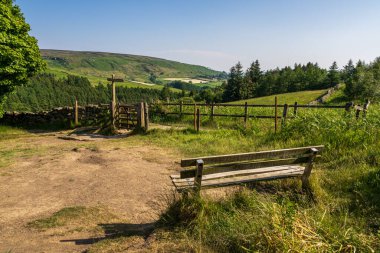 Great Broughton yakınlarındaki manzara, Kuzey Yorkshire, İngiltere, İngiltere