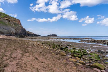 Kuzey Denizi kıyısında, Whitby, North Yorkshire, İngiltere 'deki Doğu Kayalıkları' nda gelgit alçak.