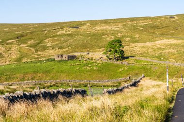 Coalcleugh, Northumberland, İngiltere yakınlarındaki Peak District 'te manzara